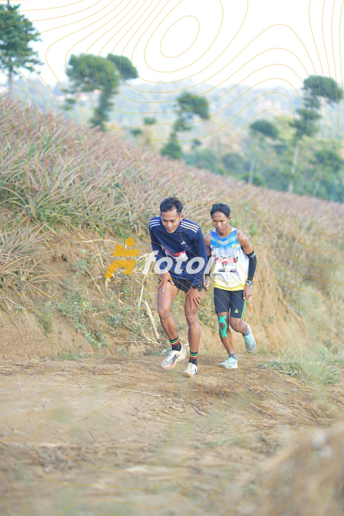 Spot Photo